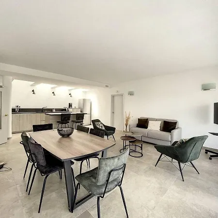 Appartement Charmant T2 En Centre-ville Avec Jardin, Terrasse Et Parking Prive - Fr-1-719-10